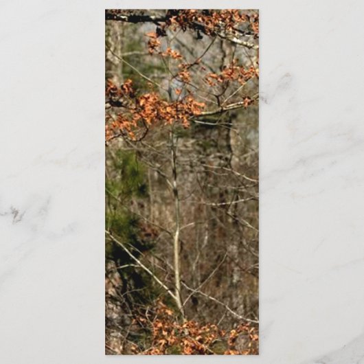 25 4x9 Hochzeitsprogramm Jagd auf Hirsch Doe Buck  Programm (Rückseite)