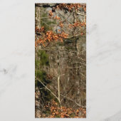 25 4x9 Hochzeitsprogramm Jagd auf Hirsch Doe Buck  Programm (Rückseite)