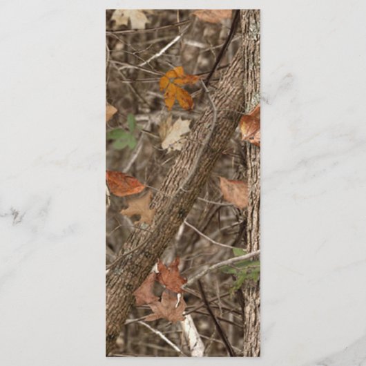 25 4x9 Hochzeitsprogramm Jagd auf Jungtiere Hirsch Programm (Rückseite)