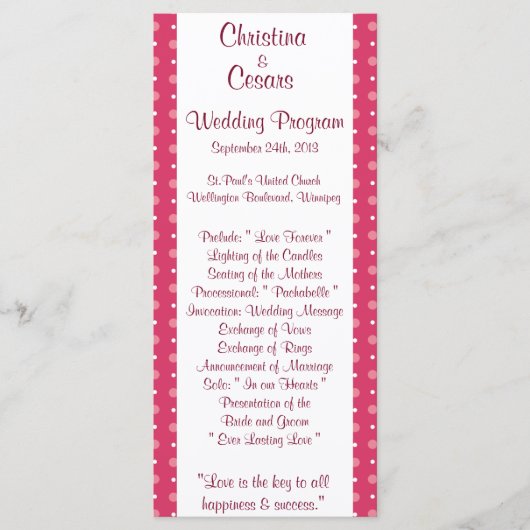 25 4x9 Hochzeitsprogramm Love Birds Rosa Streifen/ Programm (Vorderseite)