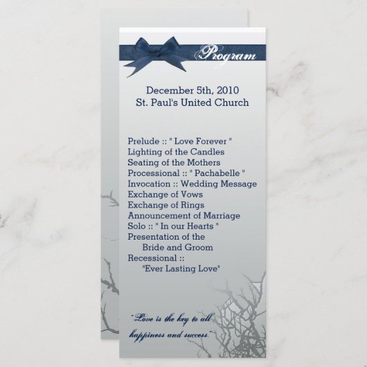 25 4x9 Hochzeitsprogramm Mattiertes Glasgecracktes Programm (Vorne/Hinten)