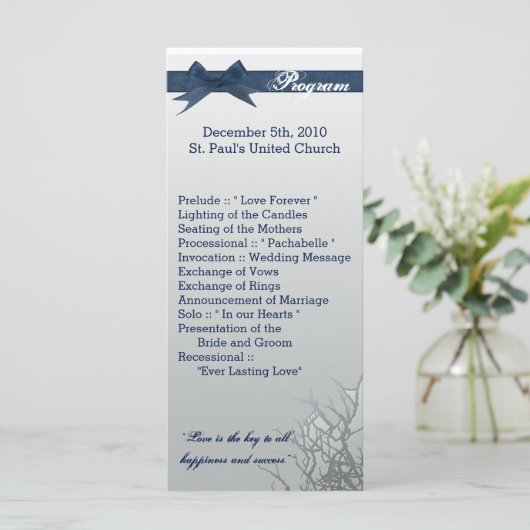 25 4x9 Hochzeitsprogramm Mattiertes Glasgecracktes Programm (Stehend Vorderseite)