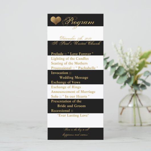 25 4x9 Hochzeitsprogramm Modernes Stripe Schwarz-w Programm (Stehend Vorderseite)