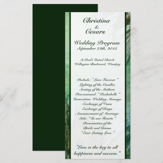 25 4x9 Hochzeitsprogramm Pfauengrüne Federn Programm (Vorne/Hinten)