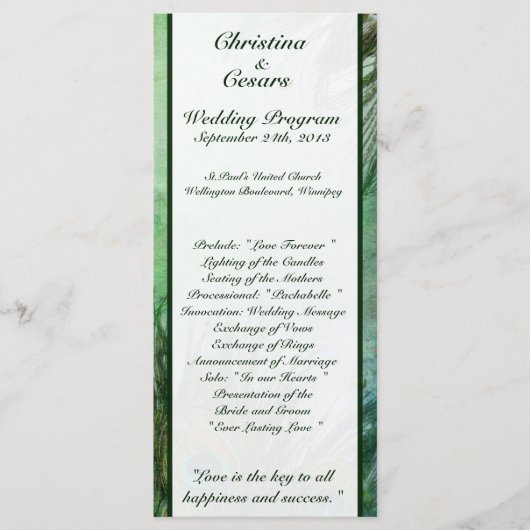25 4x9 Hochzeitsprogramm Pfauengrüne Federn Programm (Vorderseite)