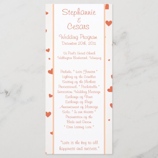 25 4x9 Hochzeitsprogramm Pinguin Liebe/Herz Peach Programm (Vorderseite)