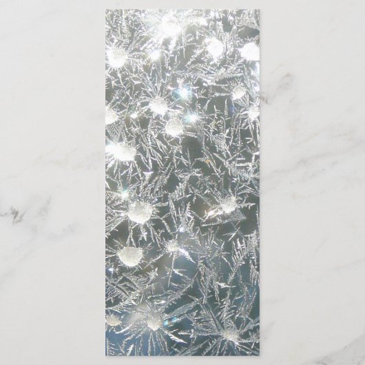 25 4x9 Hochzeitsprogramm Schmetterlinge Eisbrüche Programm (Rückseite)