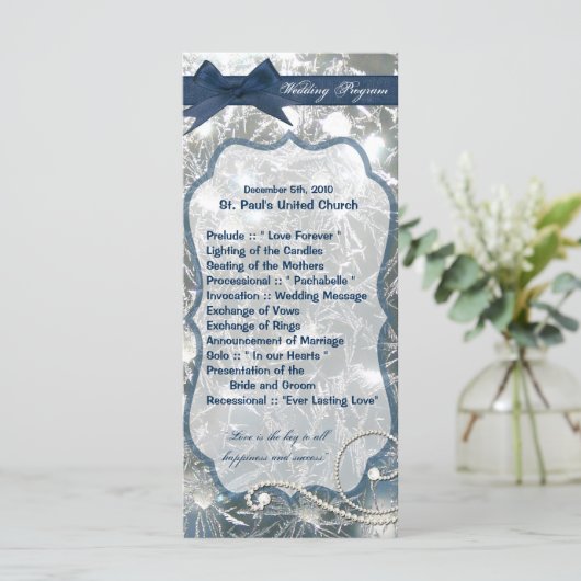 25 4x9 Hochzeitsprogramm Schmetterlinge Eisbrüche  Programm (Stehend Vorderseite)