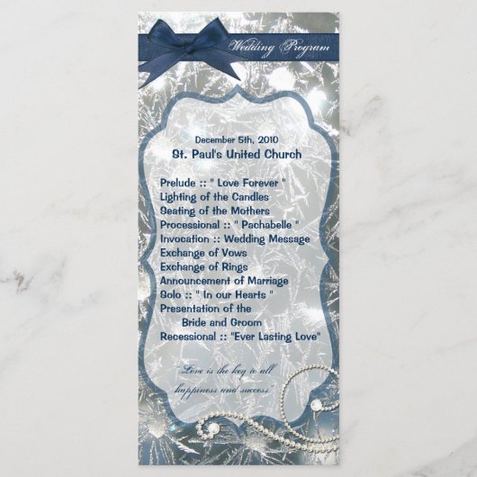 25 4x9 Hochzeitsprogramm Schmetterlinge Eisbrüche  Programm (Vorderseite)