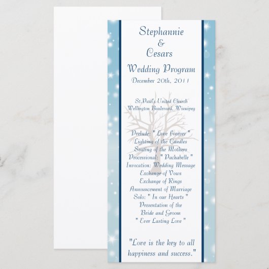 25 4x9 Hochzeitsprogramm Twinkling Snow / Bare Tre Programm (Vorne/Hinten)