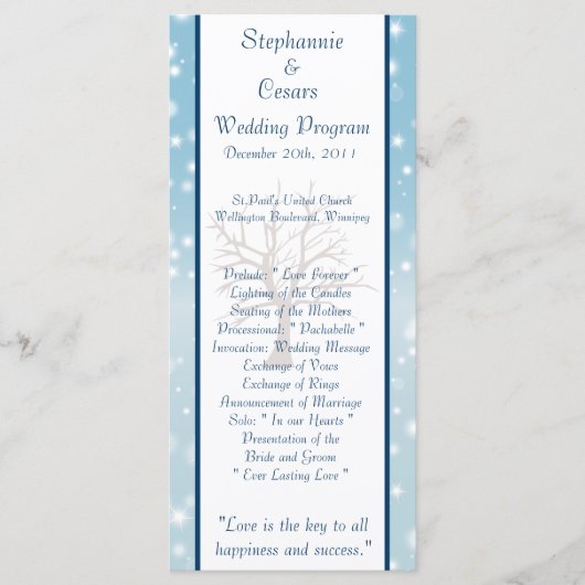 25 4x9 Hochzeitsprogramm Twinkling Snow / Bare Tre Programm (Vorderseite)