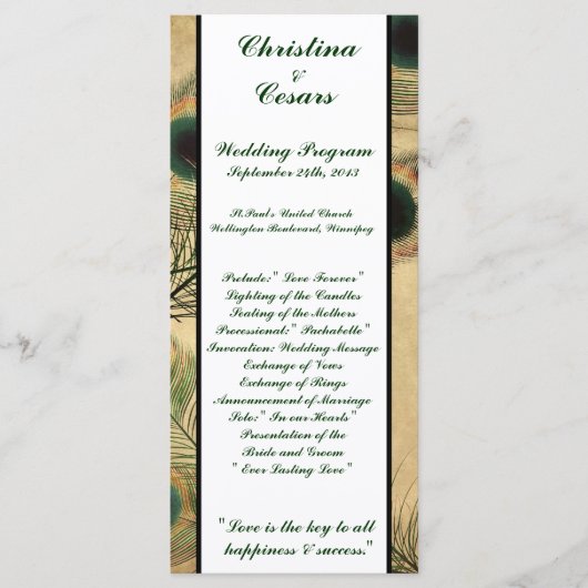 25 4x9 Hochzeitsprogramm Vintag Peacock Green Programm (Vorderseite)