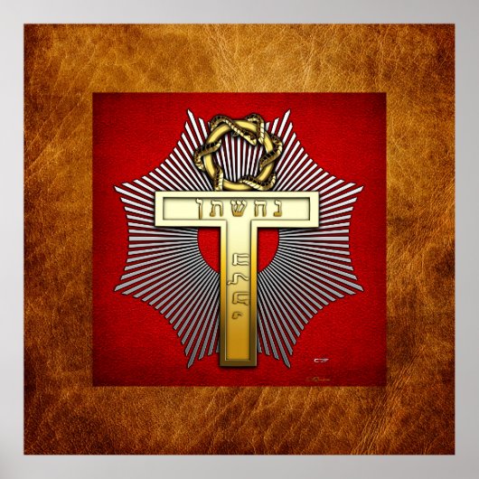 25. Grad: Master of Achievement Poster (Vorne)