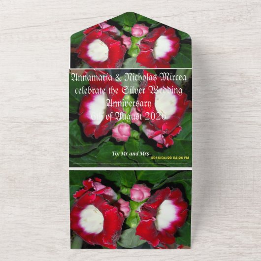 25. Hochzeitstag Einladung Silber (Außenbereich)