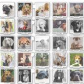 25 Personalisiert DOG ADVENT CALENDAR FOTOS NAME Aufkleber (Vorderseite)