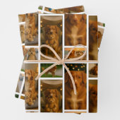 25 Personalisierte Vorlage für FotoCollage Geschenkpapier Set (Beispiel)