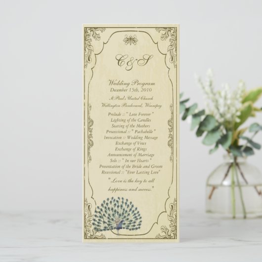 25 Vintage Pfauenhochzeiten Programm (Stehend Vorderseite)