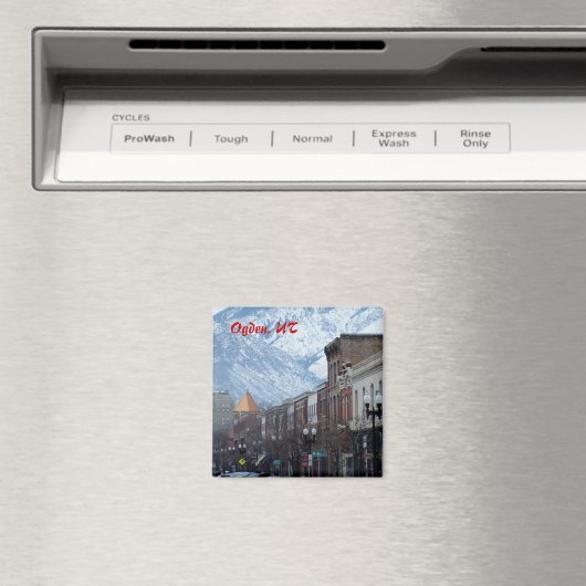 25th Street - Ogden Magnet (In Situ (Geschirrspüler))