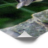 25x20 Glossy Poster mit Puffin (Ecke)