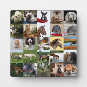 25xFoto Colage Plaque - JEDE Gelegenheit Fotoplatte