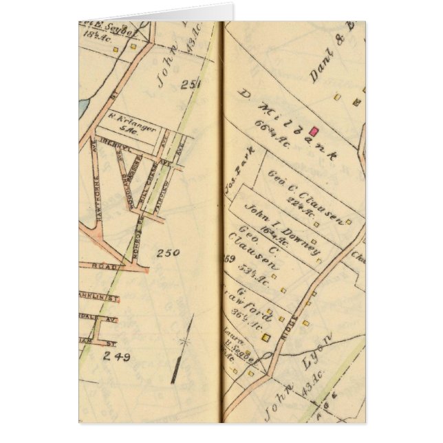 260261 Rye, Harrison (Vorne)