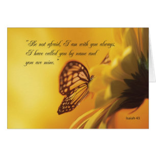 2607 Sei nicht vor Schmetterling und Blume