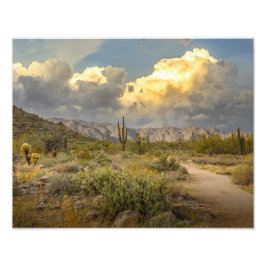 2729-Arizona Wüstenlandschaft bei Sonnenuntergang Fotodruck