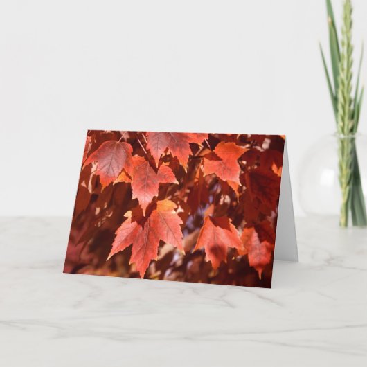2767 Herbstmaple Blätter Geburtstagskarte Karte (Vorderseite)