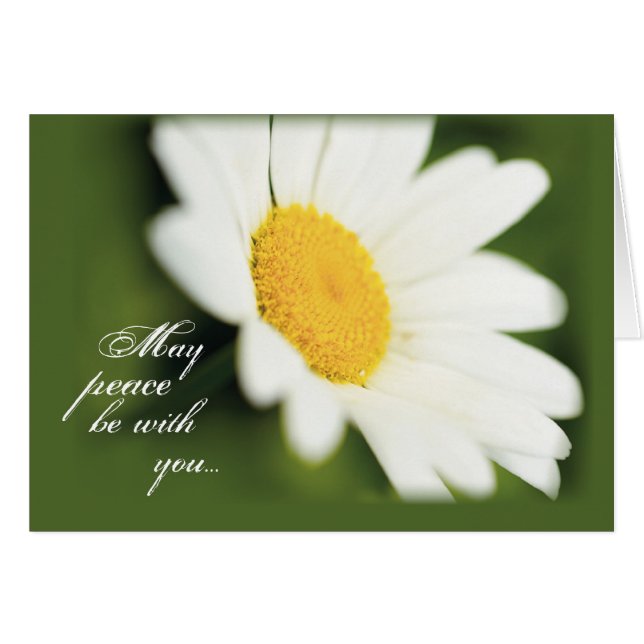 2771 Peace Daisy (Vorderseite (Horizontal))