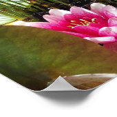 27,94x21,59 cm poster (Ecke)