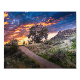 2815-Wüste Landschaft bei Sunset Fotodruck