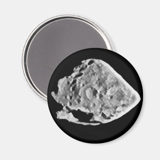 2867 Steine (1969 VC) Magnet (Vorderseite/Rückseite)