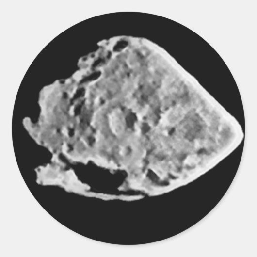 2867 Steine (1969 VC) Runder Aufkleber (Vorderseite)