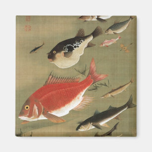 28. 群 図, 若 冲 verschiedenen Fischen, Jakuchū, Japan Magnet