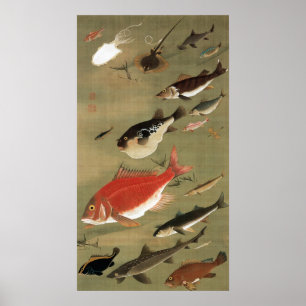 28. 群 図, 若 冲 verschiedenen Fischen, Jakuchū, Japan Poster