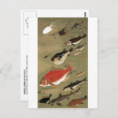 28. 群 魚 図, 若 verschiedene Fische, Jakuchū, Japan A Postkarte (Vorne/Hinten)