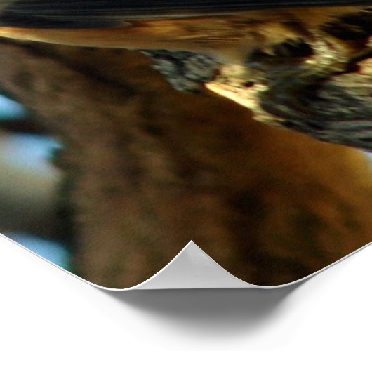 28.10.07 POSTER (Ecke)