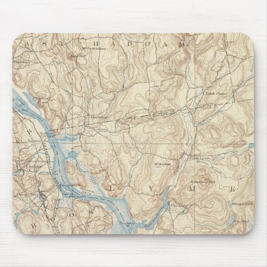 28 Saybrook-Blatt Mousepad (Vorne)