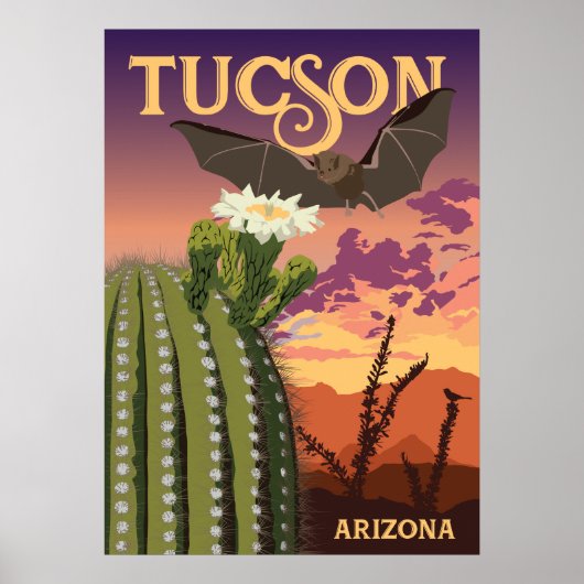 28"x20" Bat and Saguaro - Tucson, Arizona Poster (Vorne)