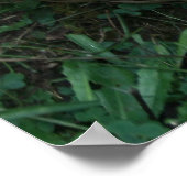 28" x 20", Value Poster Paper (Matte) (Ecke)