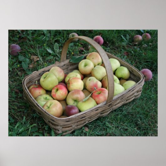 28" x 20", Value Poster Paper (Matte) (Vorne)