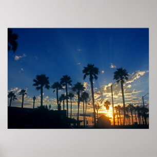 28" x 20", Wert-Plakat-Papier (Matt) Poster