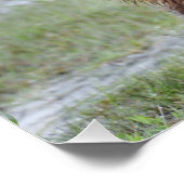 28x18,67 Glossy Poster des Grizzlybären (Ecke)