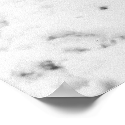 290. amerikanisches Regiment in der Schlacht der B Poster (Ecke)