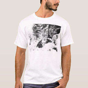 290th Amerikanisches Regiment in der T-Shirt