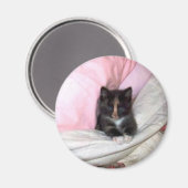 29154_Muffin-the-Cat_620 Magnet (Vorderseite/Rückseite)