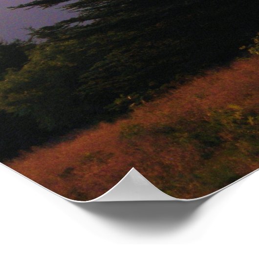 2973 POSTER (Ecke)