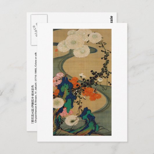 29. 菊 花 流 図, 若 冲 Chrysanthemum & Stream, Jakuchū Postkarte (Vorne/Hinten)