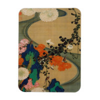29. 菊 花 流 図, 若 Chrysanthemum & Stream, Jakuchū