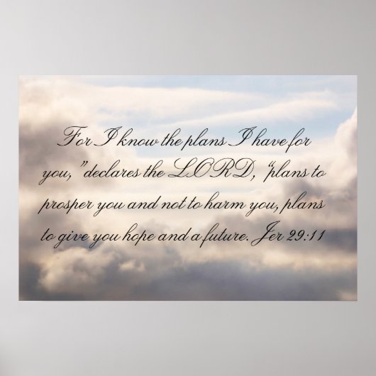 29:11: Denn ich kenne die Pläne Poster (Vorne)